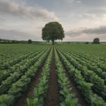 Die auswirkungen der agrarpolitik auf biodiversität und umweltschutz im kontext der eu-subventionen